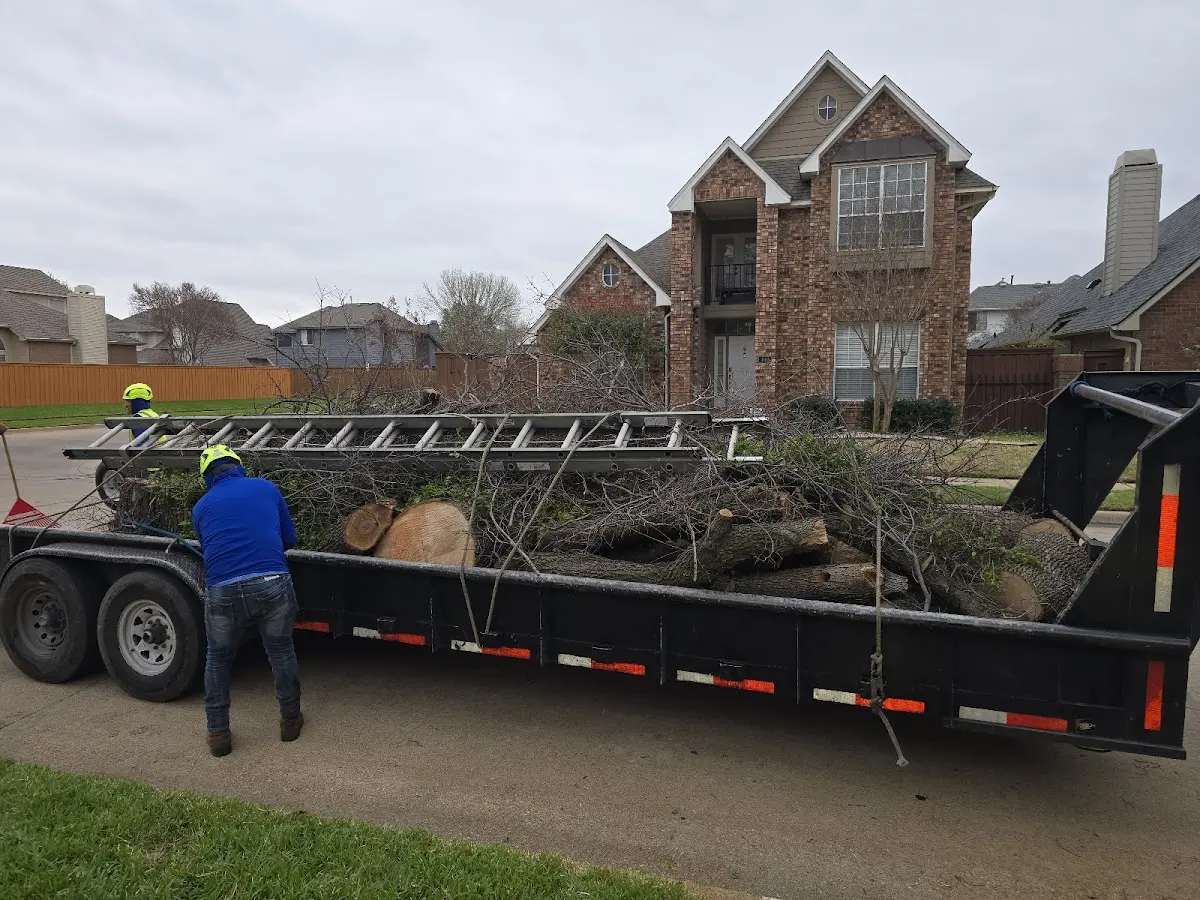 Expert Lot Clearing with proper safety equipment in Lynn Haven